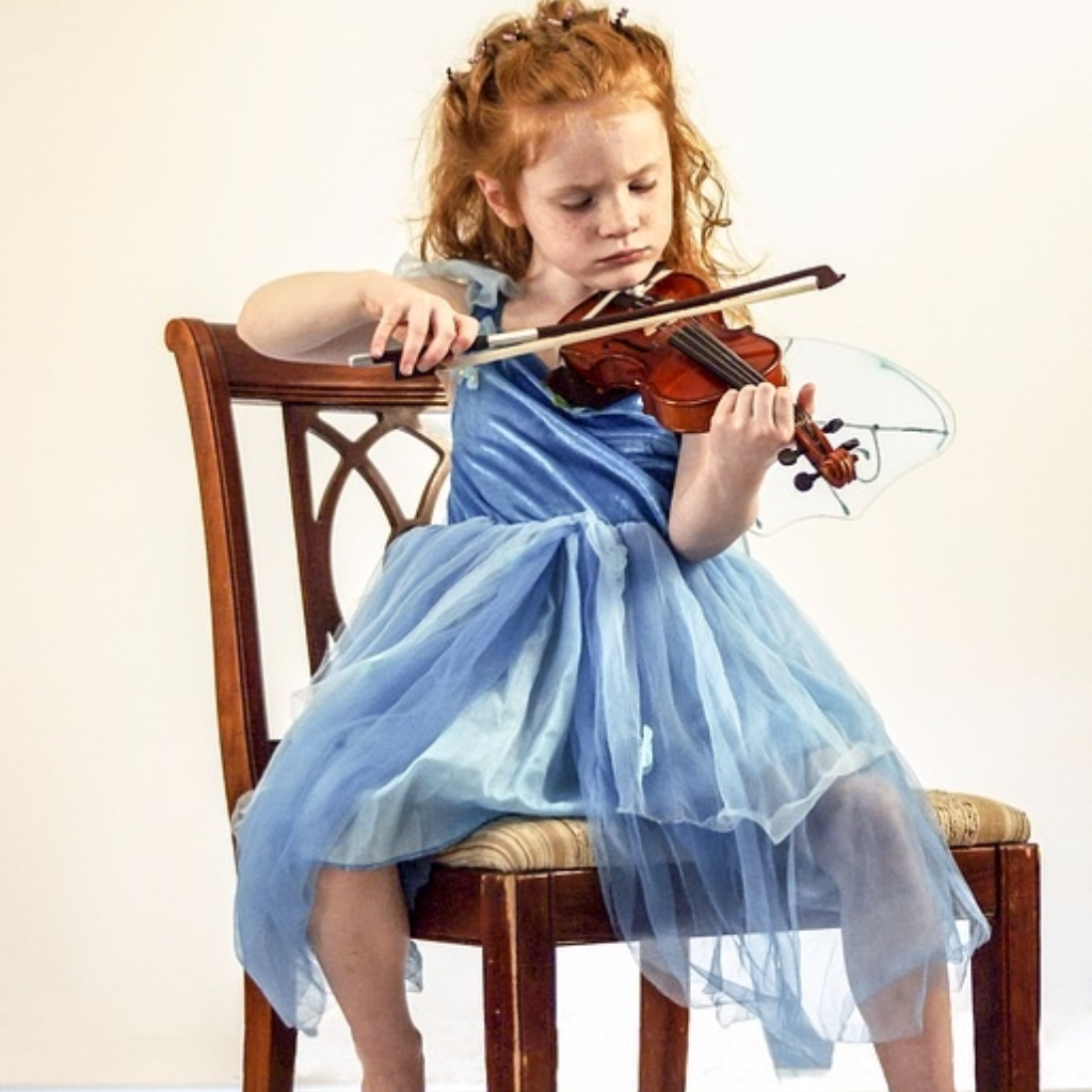 For your Violin Princess ...